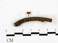 登錄號:F0023439藏品圖，第3張