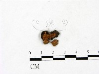 登錄號:F0023440藏品圖，第1張