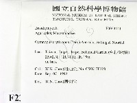 登錄號:F0023441藏品圖，第2張
