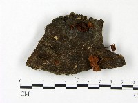 登錄號:F0023441藏品圖，第1張