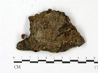登錄號:F0023441藏品圖，第3張