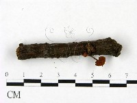 登錄號:F0023442藏品圖，第1張