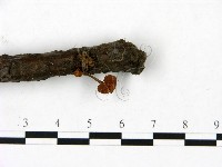 登錄號:F0023442藏品圖，第4張