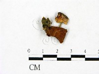 登錄號:F0023443藏品圖，第1張