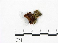 登錄號:F0023443藏品圖，第3張