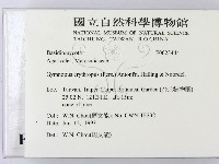 登錄號:F0023444藏品圖，第2張