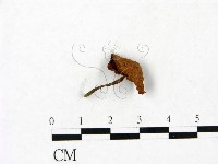 登錄號:F0023444藏品圖，第1張