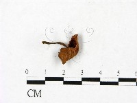 登錄號:F0023444藏品圖，第3張
