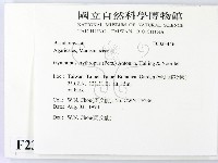 登錄號:F0023446藏品圖，第2張