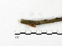 登錄號:F0023447藏品圖，第3張