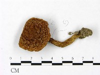 登錄號:F0023448藏品圖，第1張