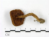 登錄號:F0023448藏品圖，第3張