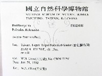 登錄號:F0023449藏品圖，第2張