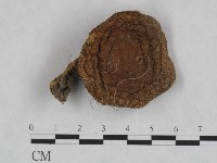 登錄號:F0023451藏品圖，第1張