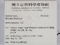 登錄號:F0023452藏品圖，第2張