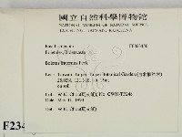 登錄號:F0023456藏品圖，第2張