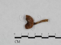 登錄號:F0023456藏品圖，第3張