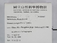 登錄號:F0023457藏品圖，第2張