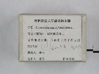 登錄號:F0023457藏品圖，第3張