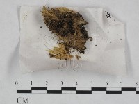 登錄號:F0023458藏品圖，第1張