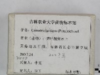 登錄號:F0023458藏品圖，第3張