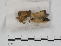 登錄號:F0023460藏品圖，第1張