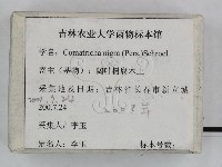 登錄號:F0023460藏品圖，第3張