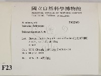 登錄號:F0023463藏品圖，第2張