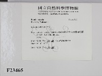 登錄號:F0023465藏品圖，第2張