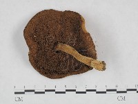 登錄號:F0023465藏品圖，第3張