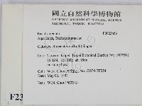 登錄號:F0023466藏品圖，第2張