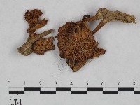 登錄號:F0023467藏品圖，第3張