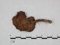 登錄號:F0023470藏品圖，第1張