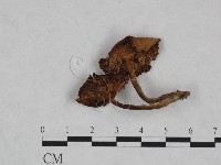 登錄號:F0023471藏品圖，第3張