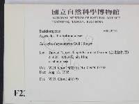 登錄號:F0023473藏品圖，第2張