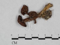 登錄號:F0023473藏品圖，第1張