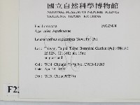 登錄號:F0023474藏品圖，第2張