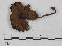 登錄號:F0023476藏品圖，第3張