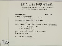 登錄號:F0023477藏品圖，第2張