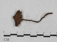 登錄號:F0023477藏品圖，第3張