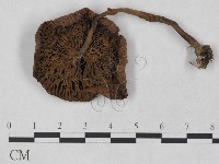 登錄號:F0023478藏品圖，第3張