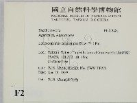 登錄號:F0023481藏品圖，第2張