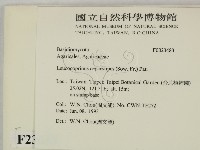 登錄號:F0023483藏品圖，第2張