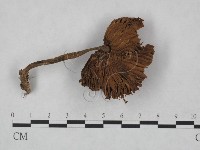 登錄號:F0023484藏品圖，第3張