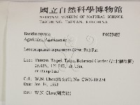 登錄號:F0023485藏品圖，第2張