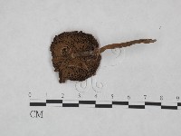 登錄號:F0023485藏品圖，第1張