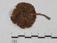 登錄號:F0023486藏品圖，第1張