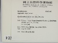 登錄號:F0023487藏品圖，第2張