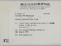 登錄號:F0023489藏品圖，第2張