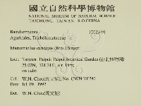 登錄號:F0023491藏品圖，第2張